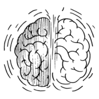 Home 7 Icon Brain