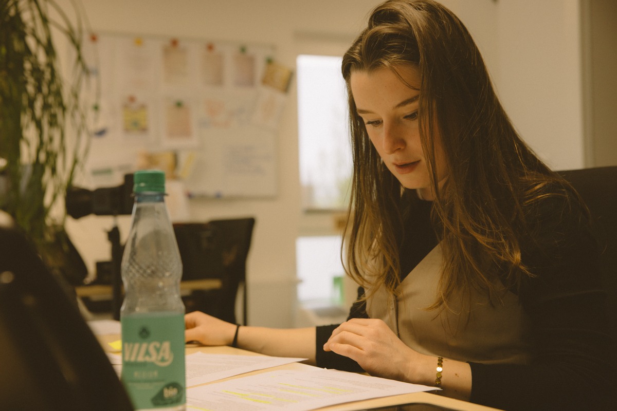 Printwerbung gestalten lassen 2 CLASSIC Marketing